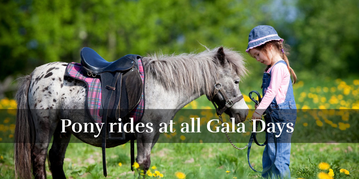 Pony rides at all Gala Days