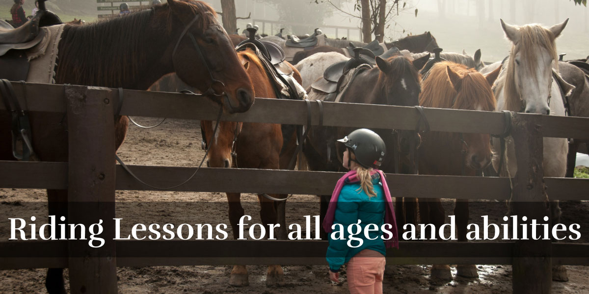 Lasswade Stables We're ALL about HORSES!
