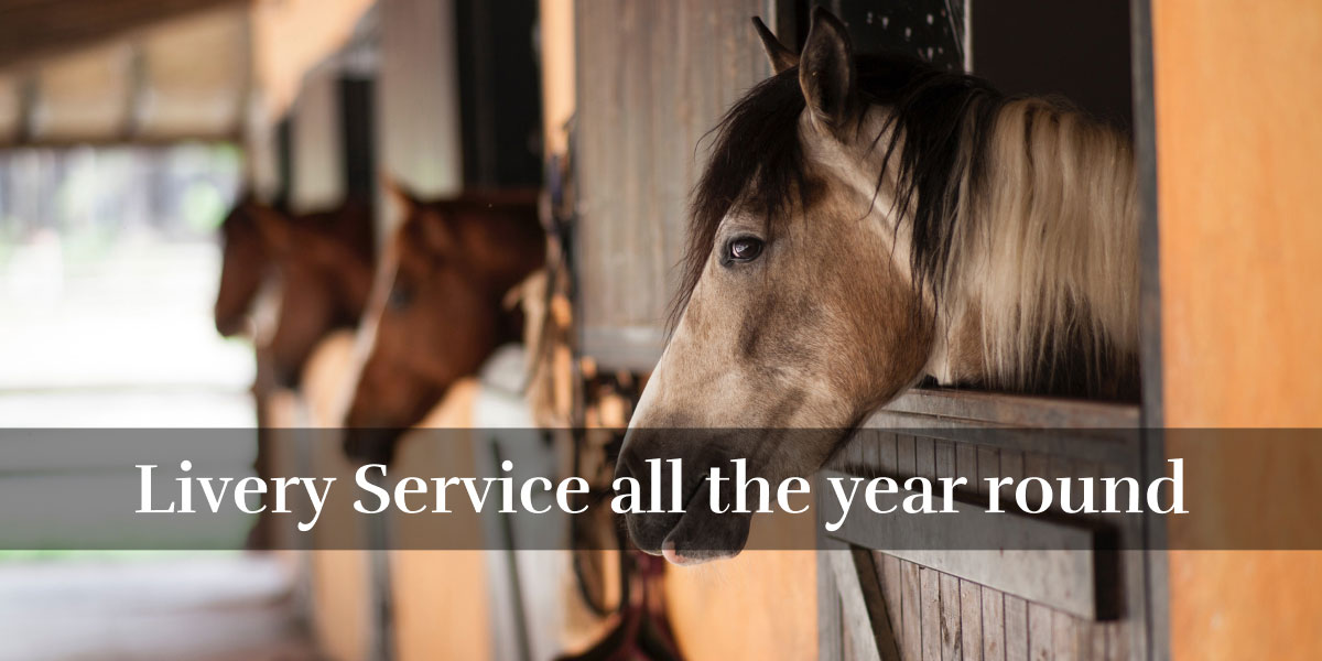 Livery Service all the year round